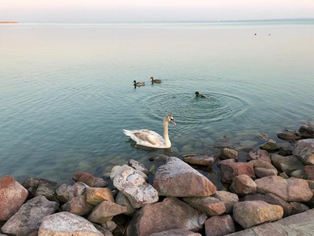 Hotel Astoria Balatonfüred Eksteriør billede